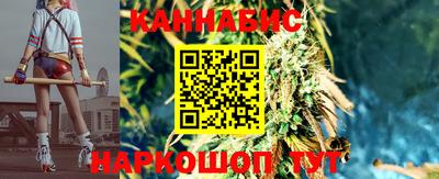 дмт Сланцы