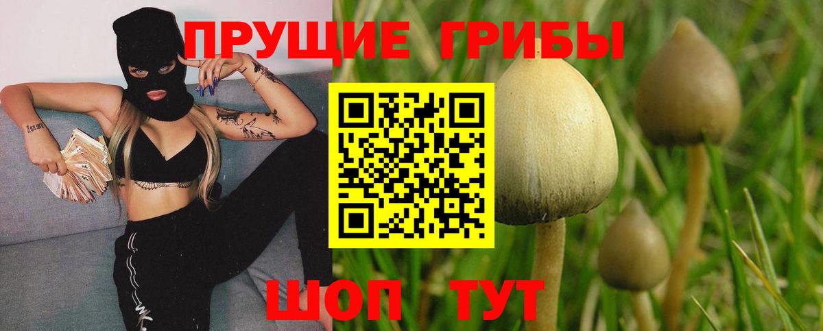 Саров  Псилоцибиновые грибы прущие грибы  цены   Вход с VPN 